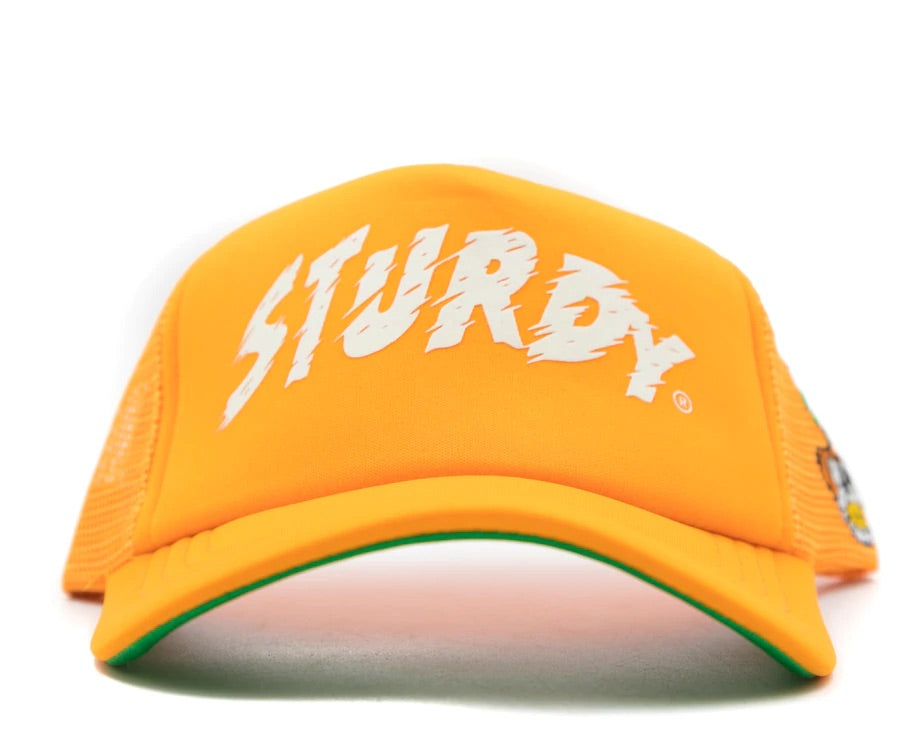 Sturdy Hats